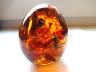 Egg souvenir with Baltic Amber and insects inside !!!