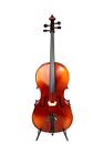 SanMarco Cello DCE-300, 1/2,Flamed maple back/side, ebony parts