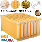 7 PCS Free Flowing Honey Bee Hive Beehive Wax Frames for Brood Beekeeping Box