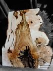 XL WORMY Birdseye AMBROSIA Maple Burl wood, STABILIZING, EPOXY WOOD Curly wood