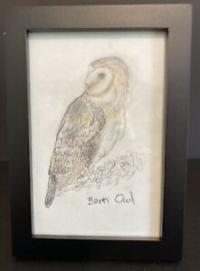 Barn Owl.  Framed Original Colored Pencil Bird Picture Signed by Artist