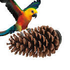 New ListingPinecone Bird Perch Stand Bird Cage Perch Toy For Budgie, Finch, Parrot
