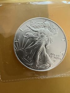 New Listing2022 American Silver Eagle 1oz Coin