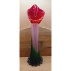 New ListingJack-in-the-Pulpit White, Red, Green 11.5