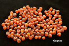 Raw Baltic Amber Beads Natural Loose BQ 4.5-6mm Beads 50-100-200 Pcs Cognac