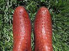 VINTAGE LUCCHESE AMERICAN HORNBACK LIZARD INLAY EXOTIC RARE WESTERN BOOT 10.5 C