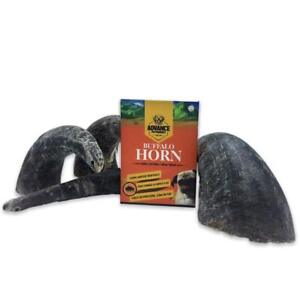 Buffalo Horn 4 Pack of Buffalo Hornz Small Long Lasting 100% Natural Water Dog C