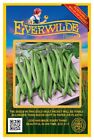 100 Tenderette Green Bush Bean Seeds - Everwilde Farms Mylar Seed Packet