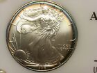 1996 Toned Silver Eagle Coin