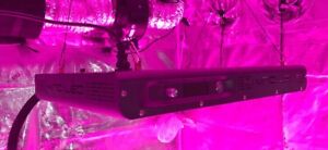 Kind LED K5 Series XL750 WiFi Indoor Grow Light INFARED UV FULL SPECTRUM