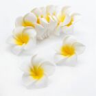 10/50pcs Wedding Party Artificial Foam Frangipani Flower Plumeria Decor Ornament