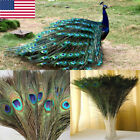 10Pcs DIY Natural Peacock Tail Feathers Wedding Festival Party Home Decoration