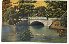 New ListingLinen Postcard Scene in Roger Williams Park Providence RI Echo Bridge Ducks