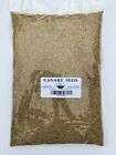 5 LB Canary Seed -Clean and Fresh