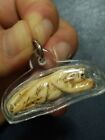 THAI AMULE ANCIENT REAL ANIMAL TOOTH FANG, LEAPING TIGER RARE THON SIT PENDANT