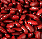 Dark Red Kidney Bush Bean Seeds, Baked Beans and Chili, NON-GMO,  FREE SHIPPING