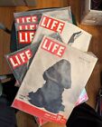 6 Vintage Life magazine lot 1949