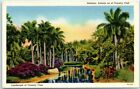 Postcard - Landscape at Country Club, Havana, Cuba