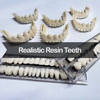 DIY Dentures - Preformed Resin Teeth (upper and lower)