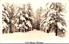 RPPC Lake George Clare County Michigan MI Postcard 1939 Postmark View Of Woods