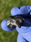 Meteorite**Sikhote-Alin, Russia**20.855 grams, Gorgeous Individual W/Rollovers!!