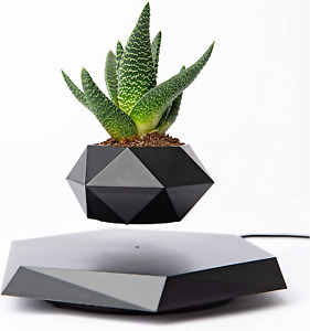 Levitating Plant Pot - Magnetic Floating Display for Small Plants - Elegant Deco