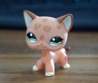 Mini Pet Shop Toys Tan Leopard Spot Green Eyes Gift LPS #1120 Short Hair Cat